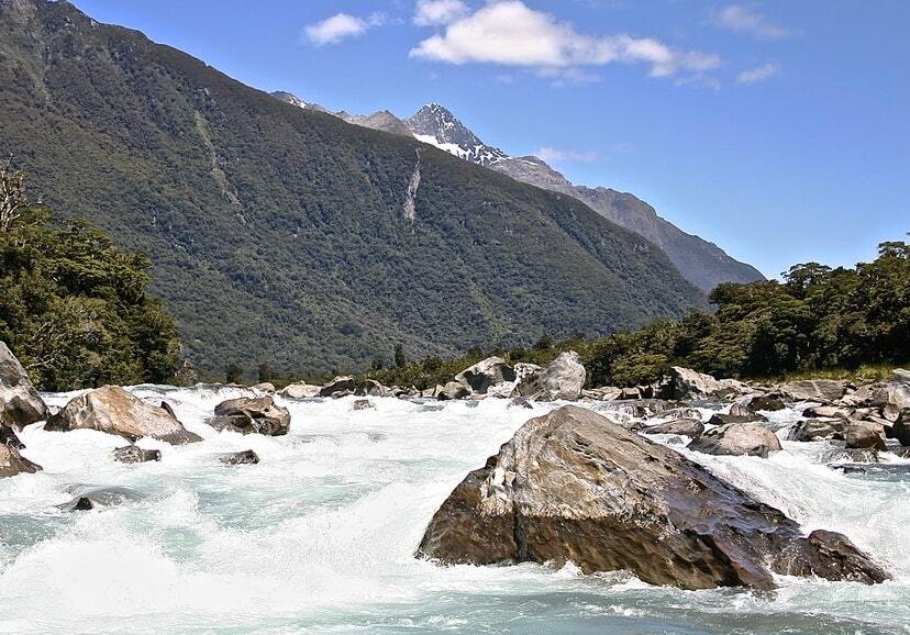 New Zealand’s Environmental and Water Quality Concerns