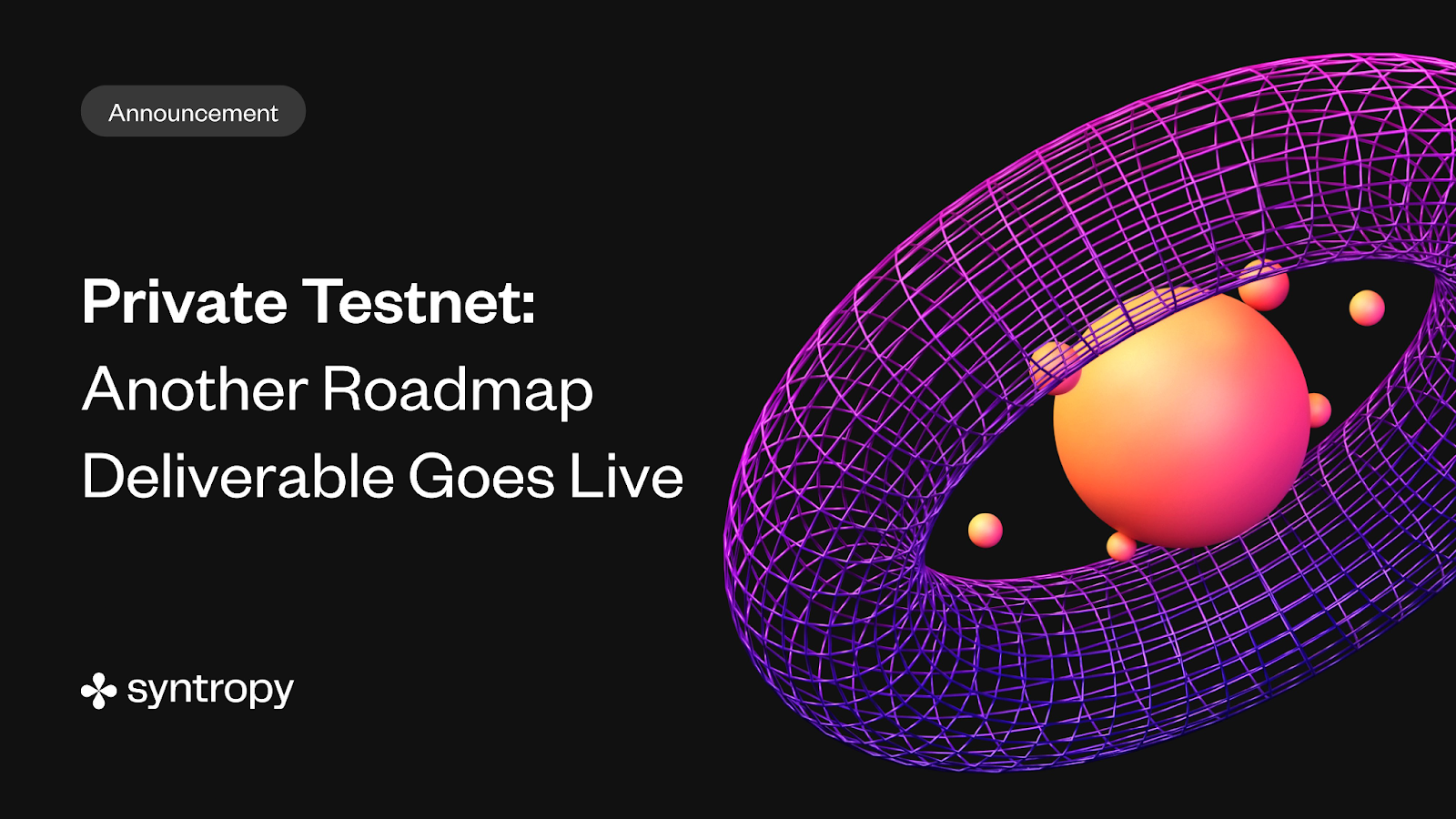 Private Testnet: Another Roadmap Deliverable Goes Live
