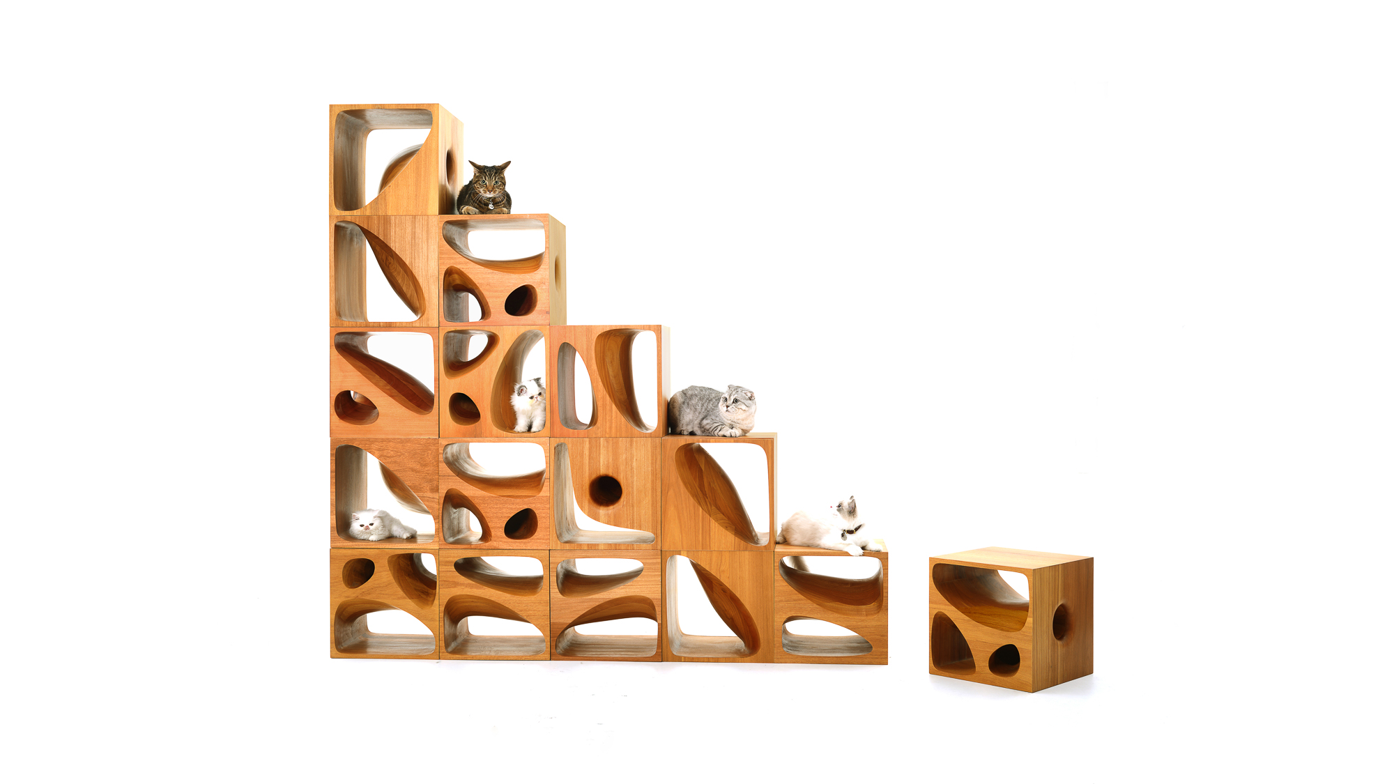 Catable 2.0 | LYCS Architecture