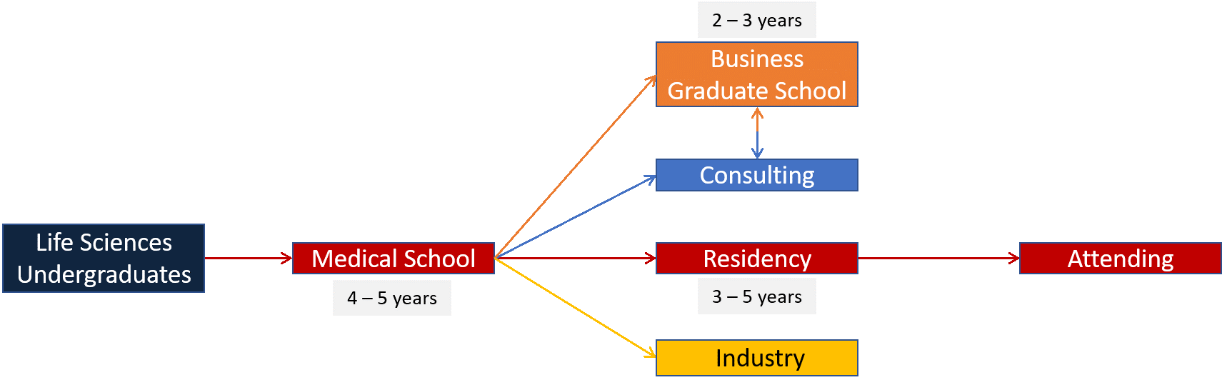 What Are the Different Career Paths for Life Sciences Graduates?