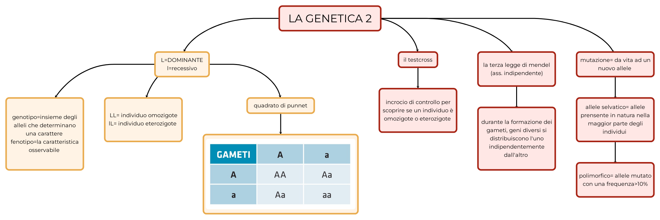 LA 2 Mappa e riassunto