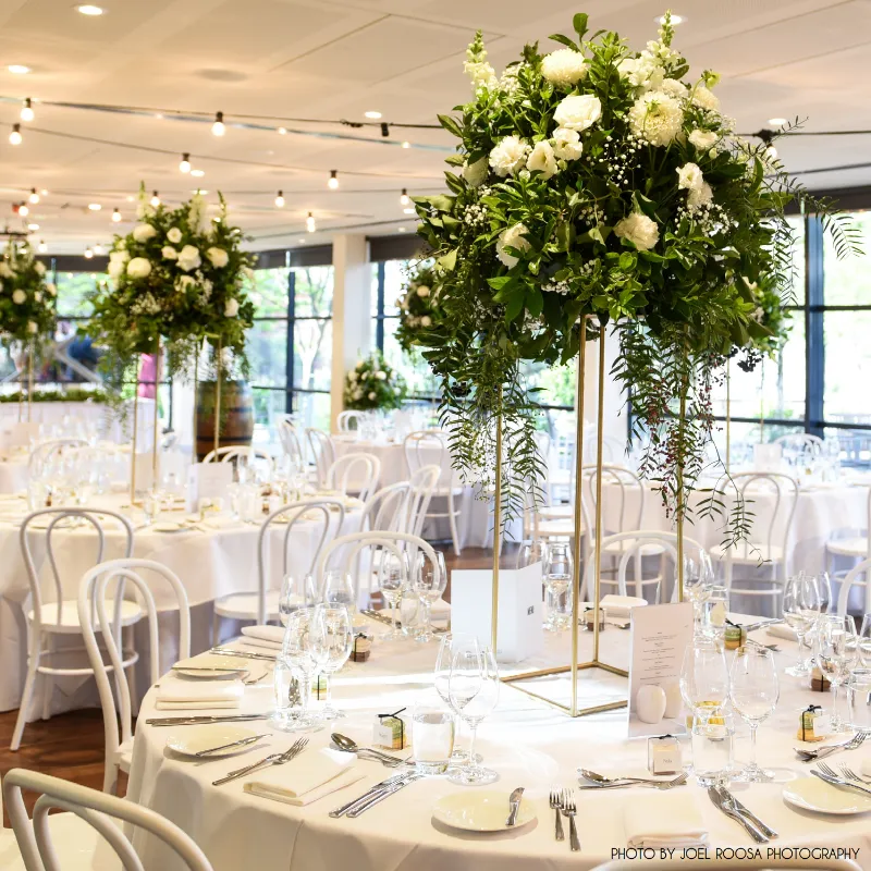 Hire The Vines Room at Adelaide SA's National Wine Centre