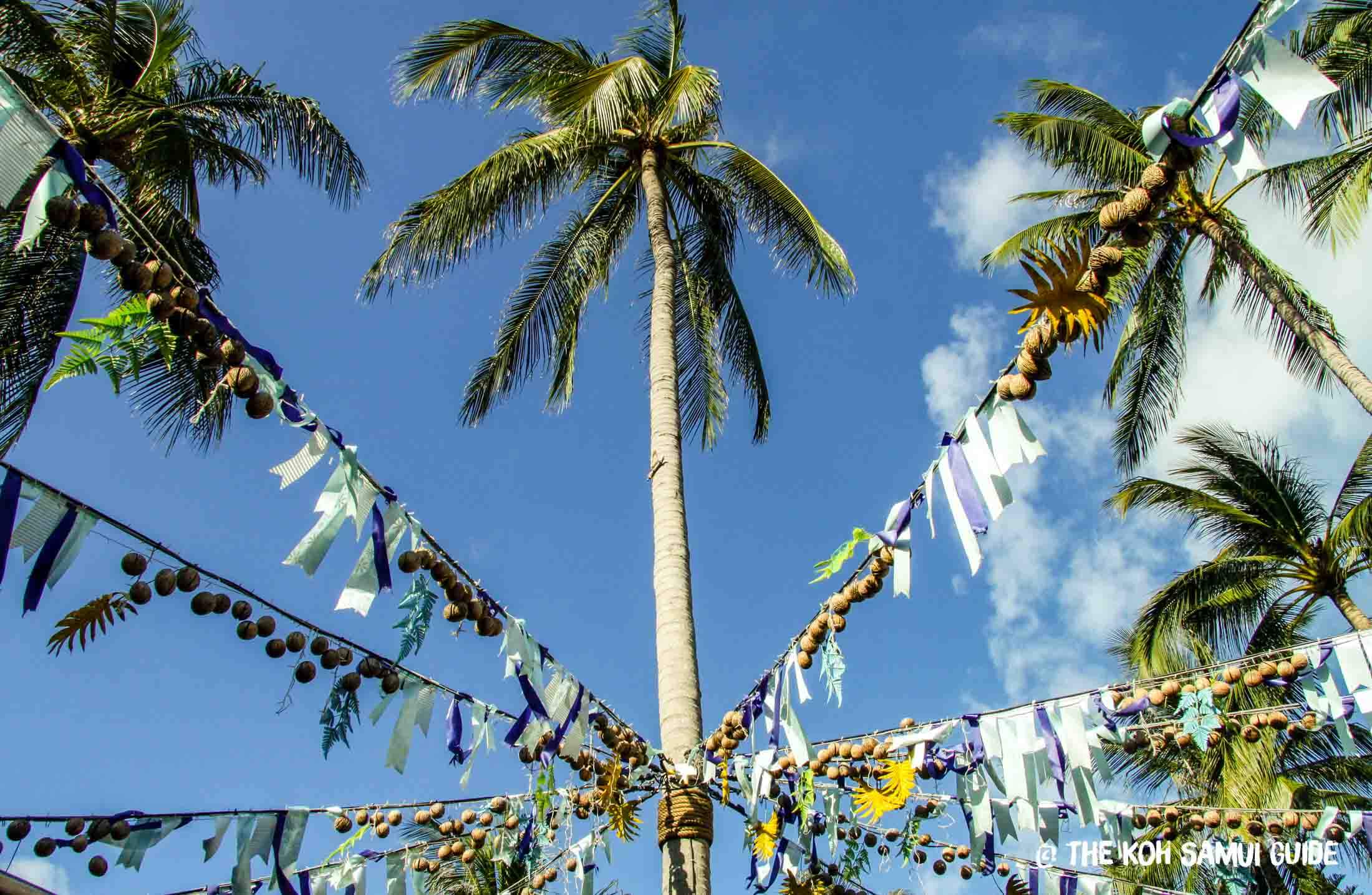 Koh Samui in February Weather, What to Expect and January FAQs