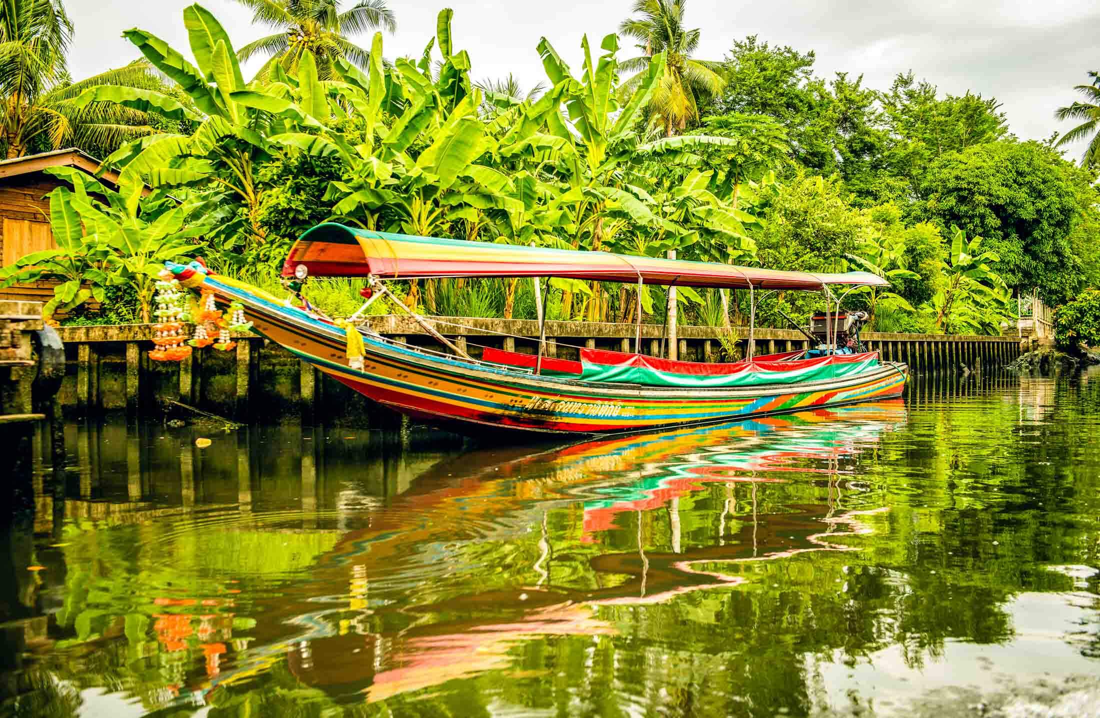 Koh Samui Monitor Lizards Where and When to Spot a Monitor and FAQs