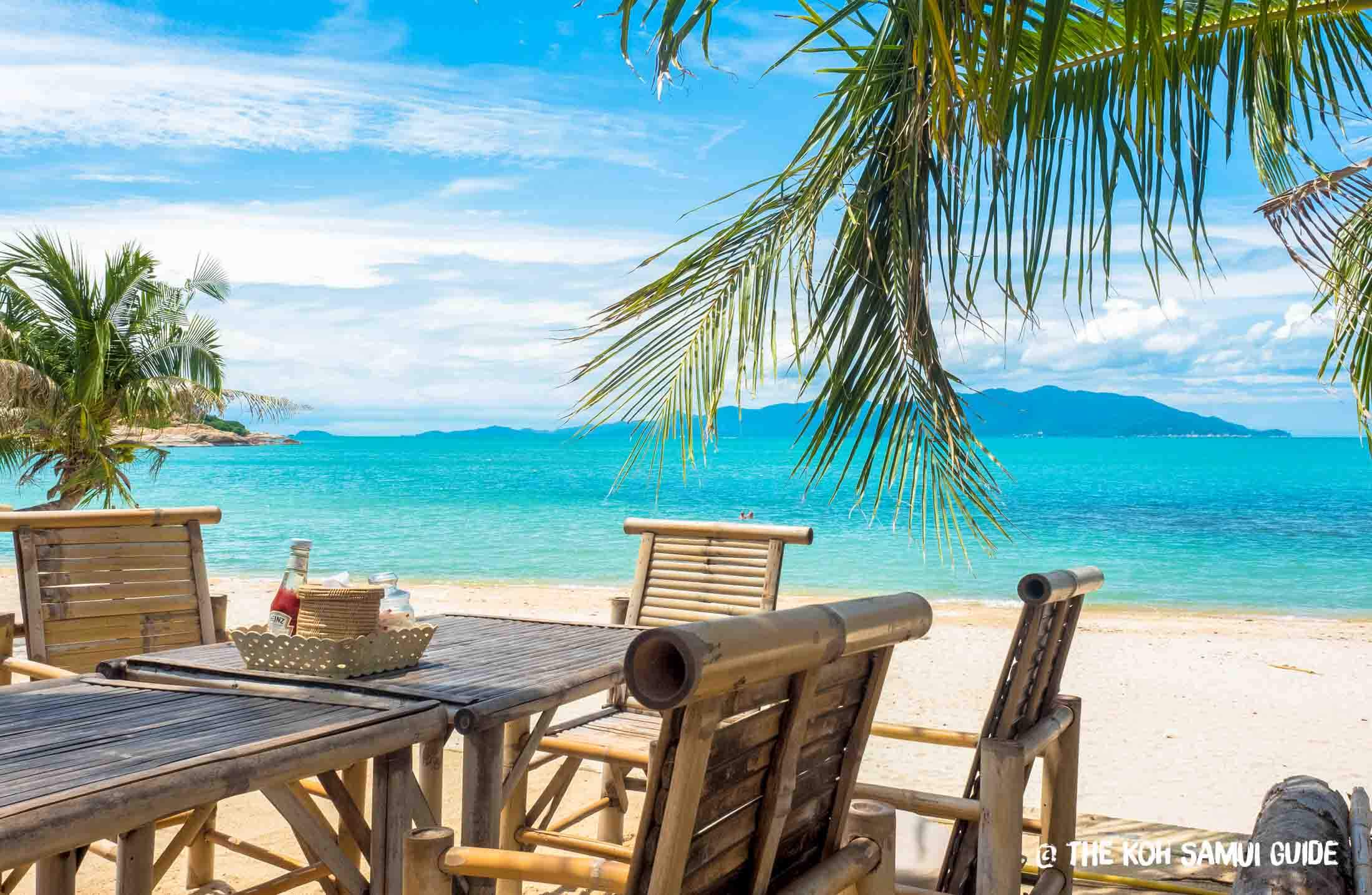 Where to Eat on Koh Samui? How to Find Koh Samui’s Best Food