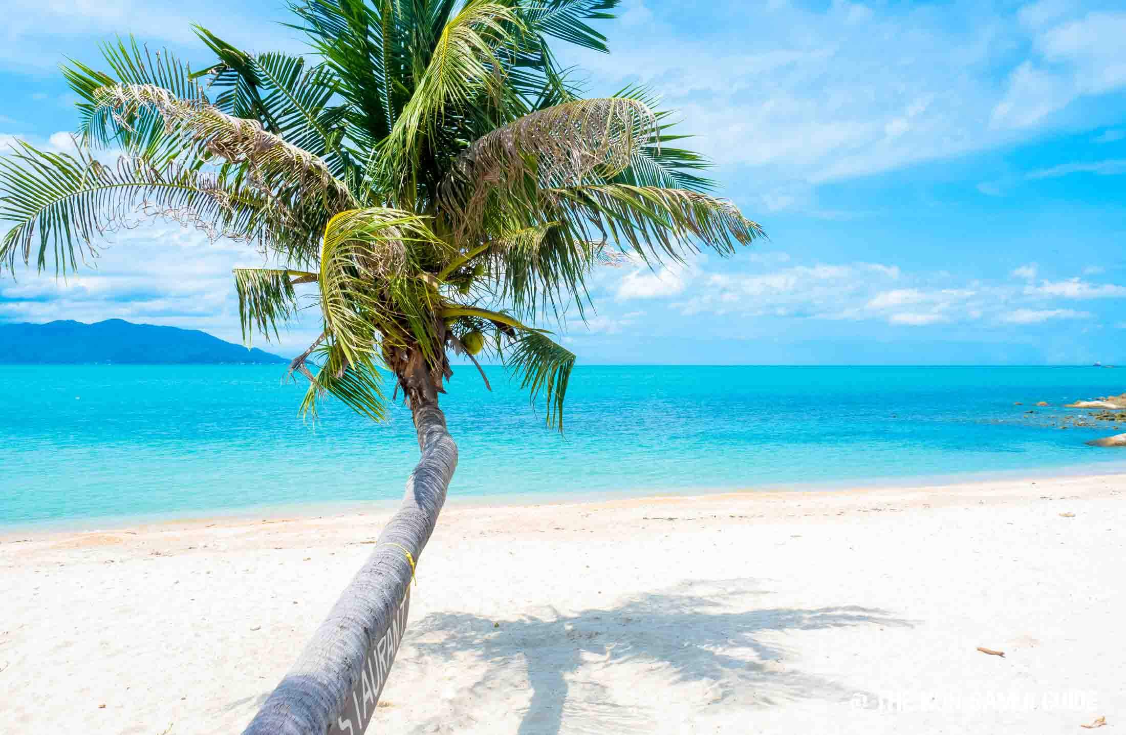 Koh Samui Weather: When’s the Best Time to Visit Koh Samui?