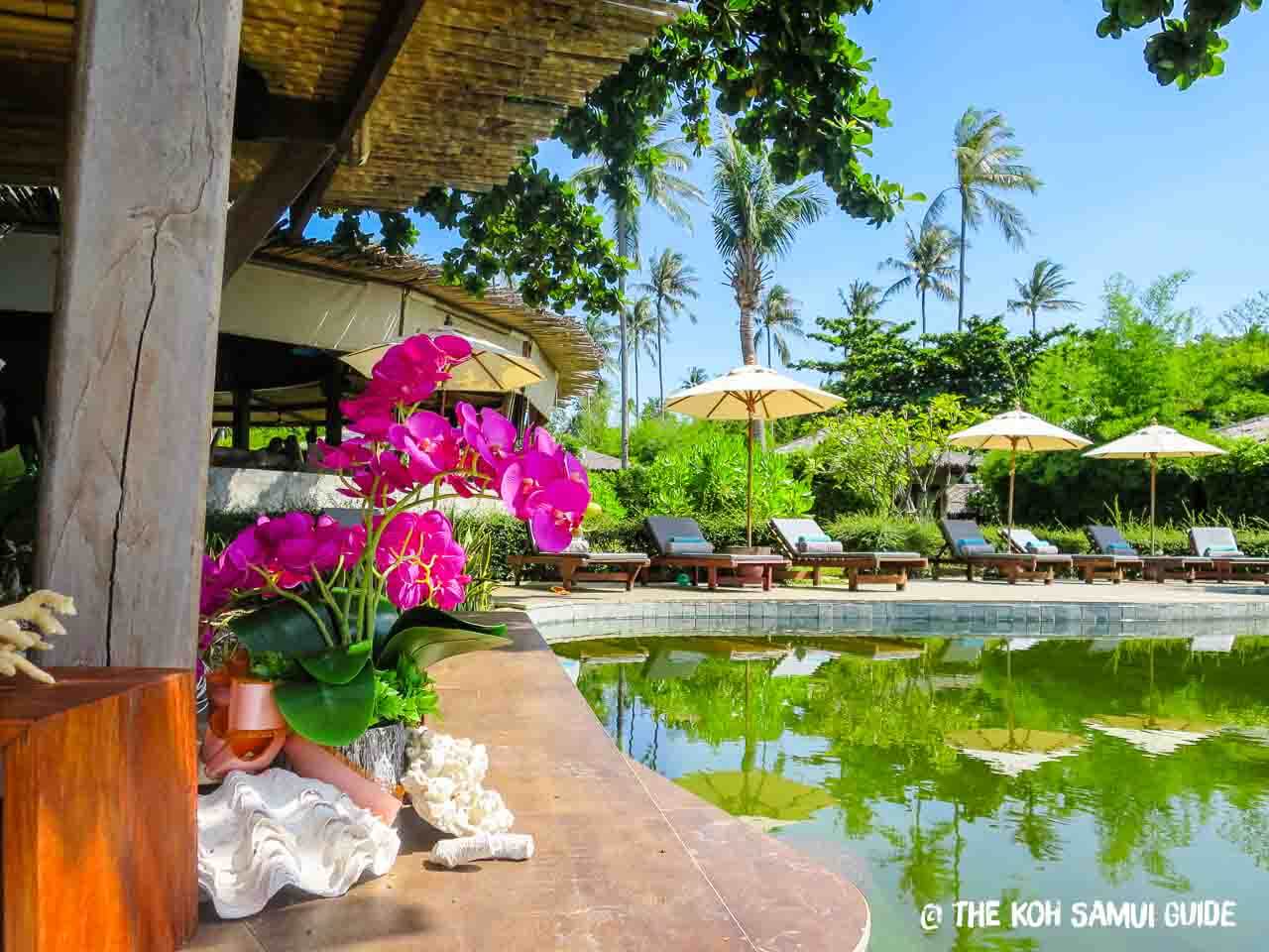 Koh Samui in July Weather, What to Expect and Your July FAQs
