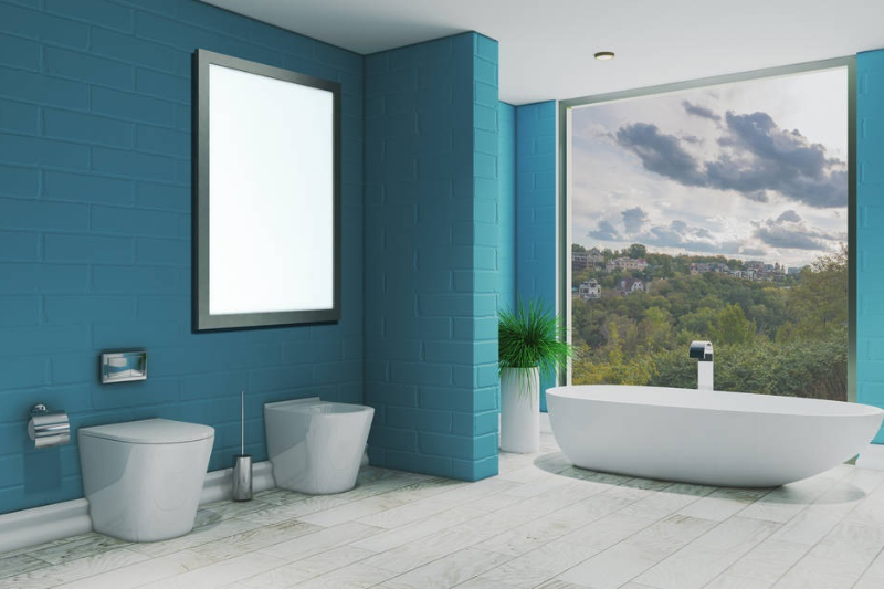 Best Paint For Bathrooms Tera Painting