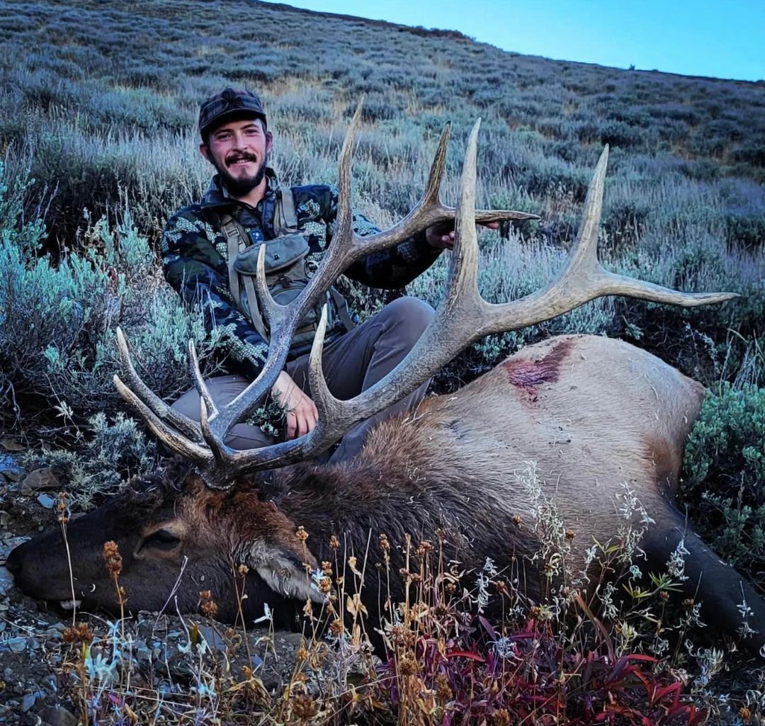 Frank Church Wilderness Elk Hunt in Frank Church River of No Return