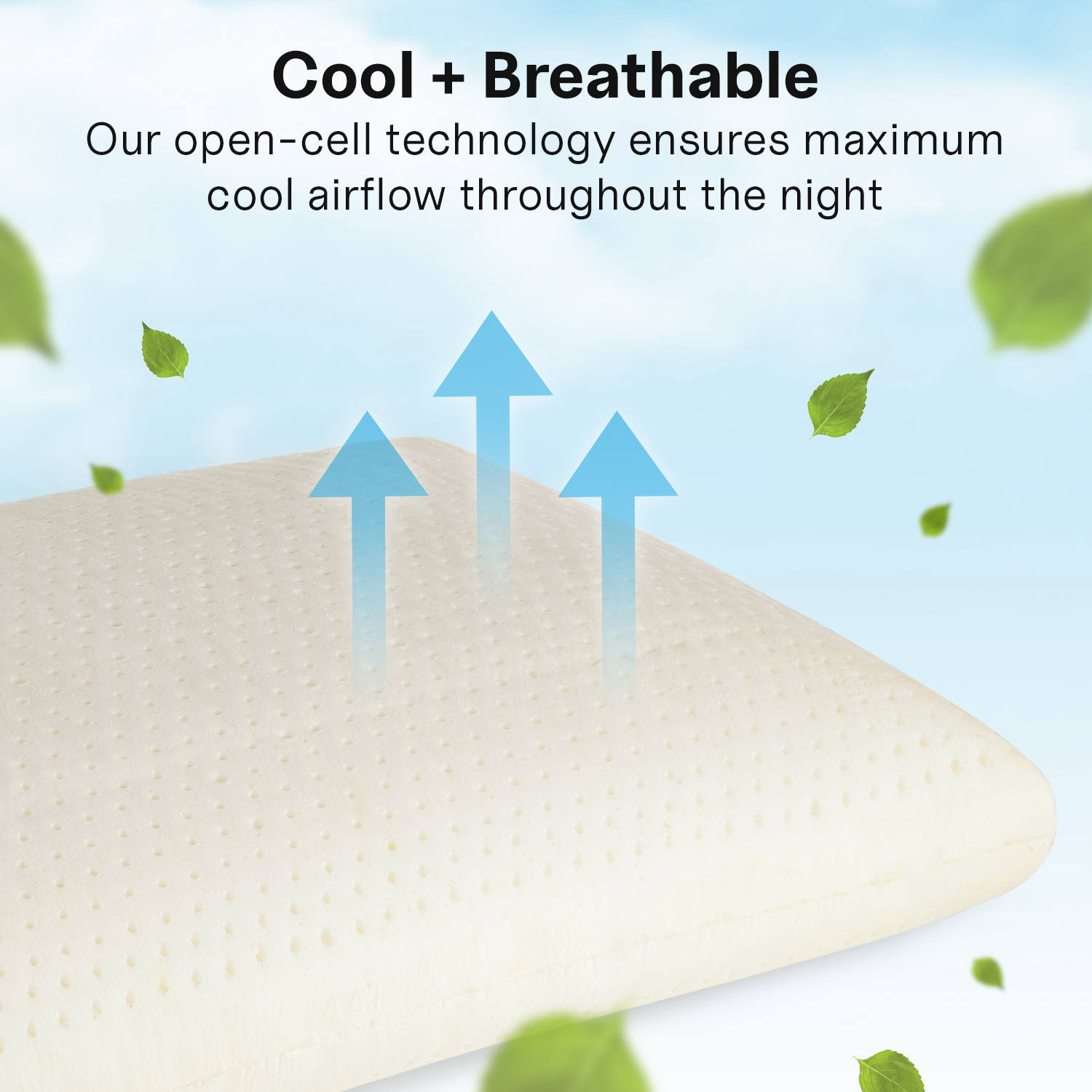 Manolo Sleep Latex Foam Pillows”