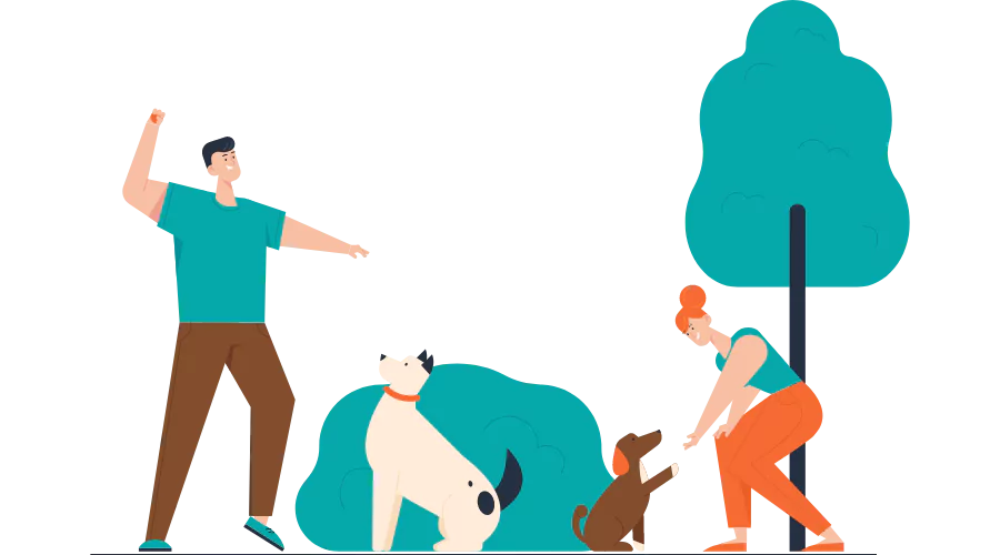 Certificate in Dog Care and Training Careerhouse Get Course