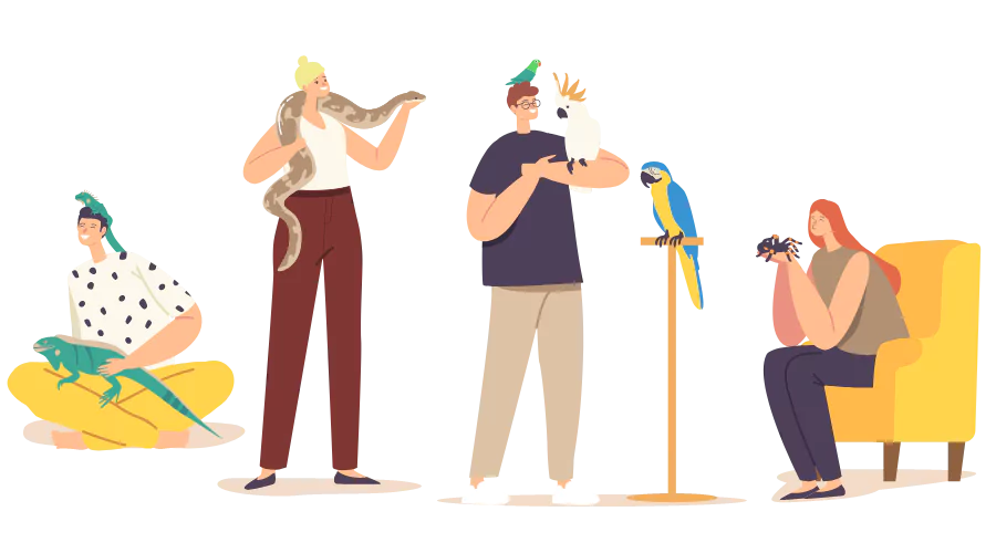 Animal Health & Veterinary Care Ulleo Get Course