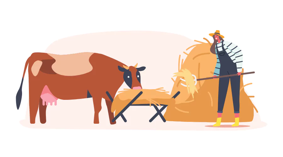 Certificate in Beef Cattle Farming My Learning Online Get Course