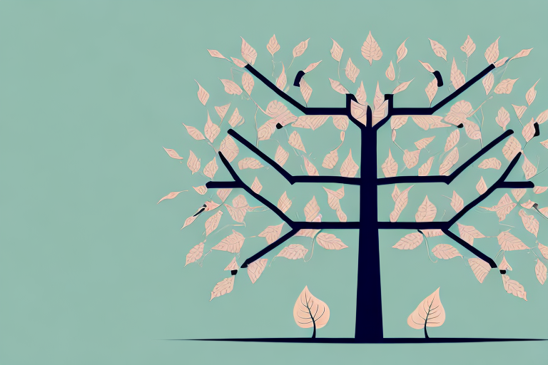 Effective Folder Structure Best Practices