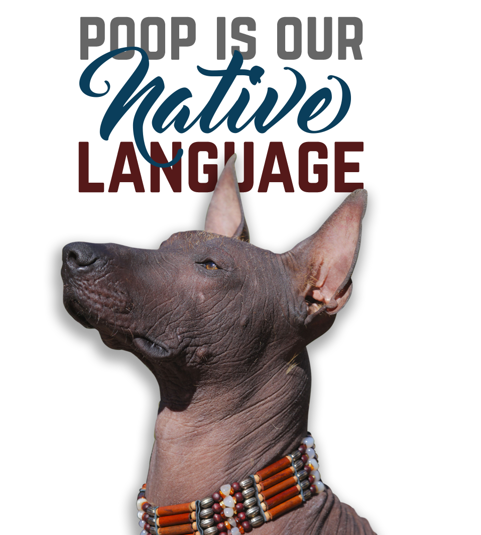 Pet Waste Removal in Choctaw, OK Scoop Soldiers