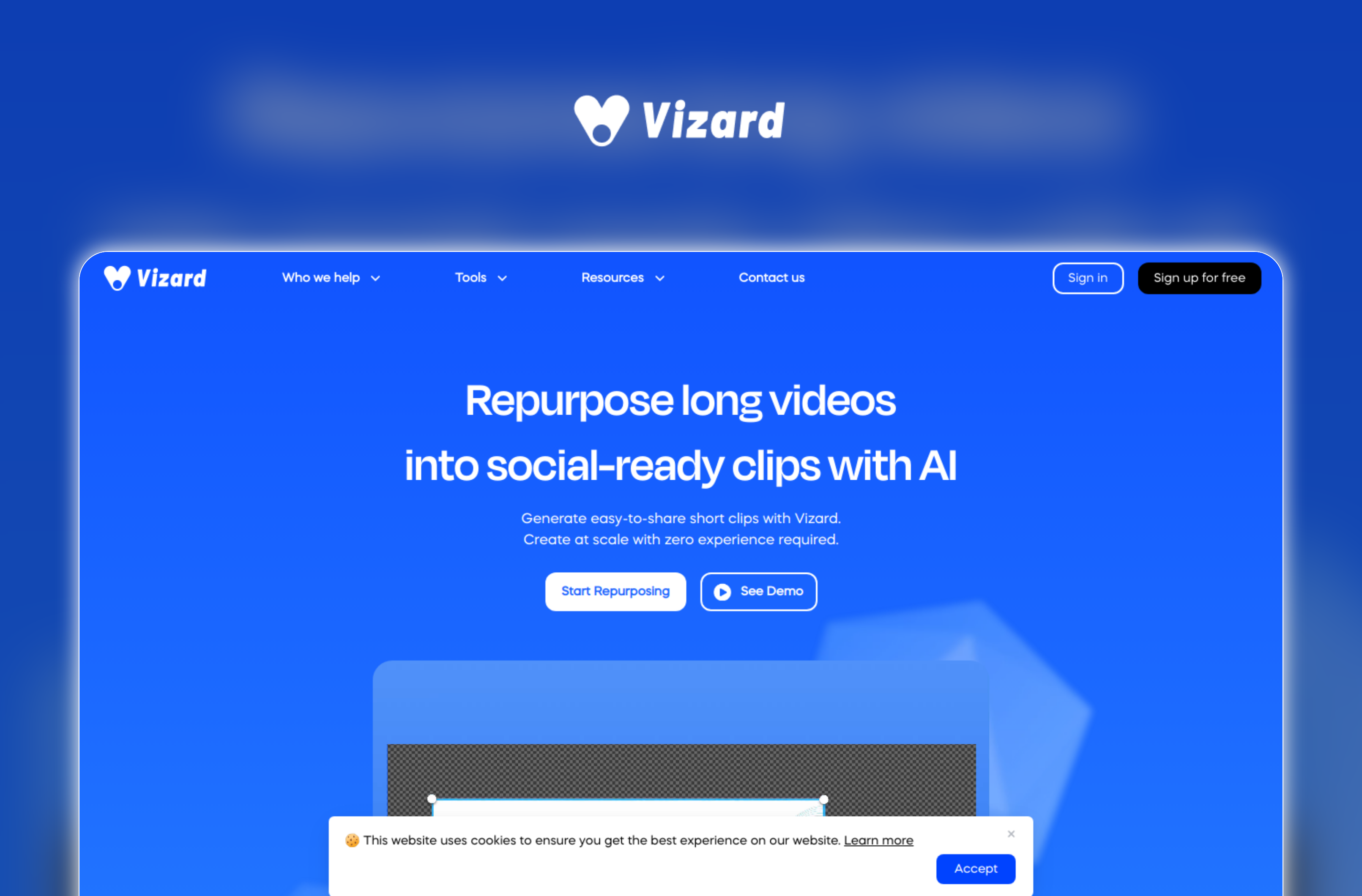 Vizard