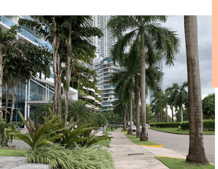 Costa del Este Bioma