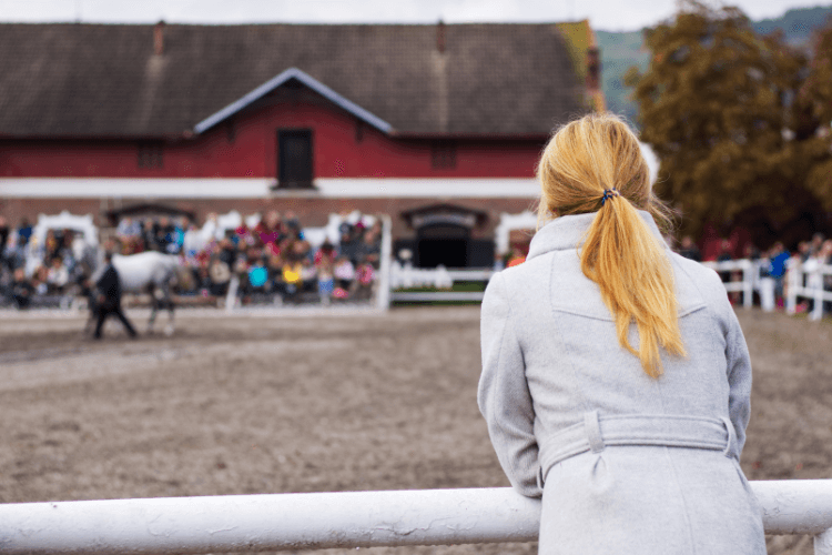 A closer look at Guarantee For Bull Sales Registration Guarantee